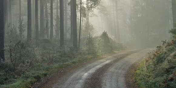 header_dimma header_dimma